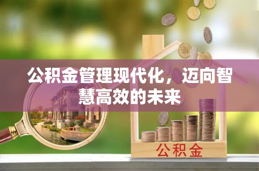 诸暨公积金管理现代化，迈向智慧高效的未来