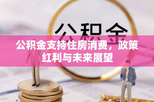 诸暨公积金支持住房消费，政策红利与未来展望
