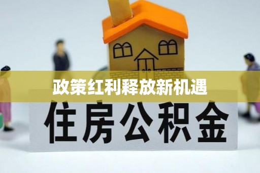诸暨政策红利释放新机遇