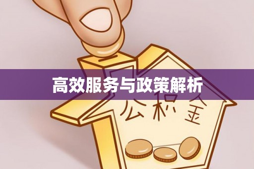 诸暨高效服务与政策解析