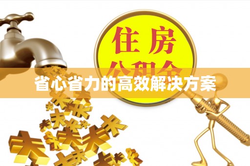诸暨省心省力的高效解决方案