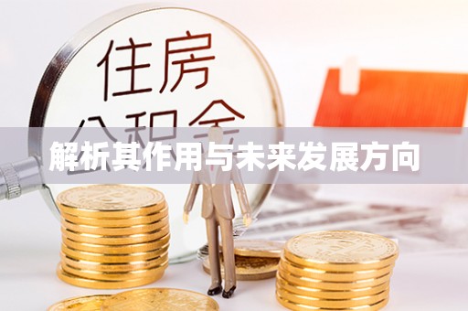 诸暨解析其作用与未来发展方向