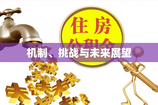 诸暨机制、挑战与未来展望